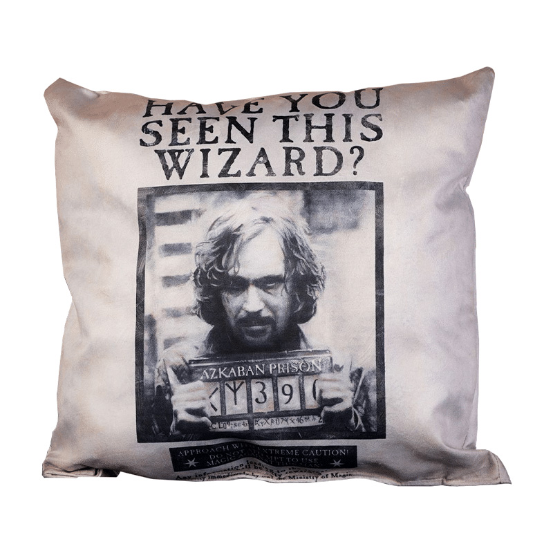 https://cartamagica.latzee.net/wp-content/uploads/2023/12/Pillow-Have-You-Seen-This-Wizard.jpg