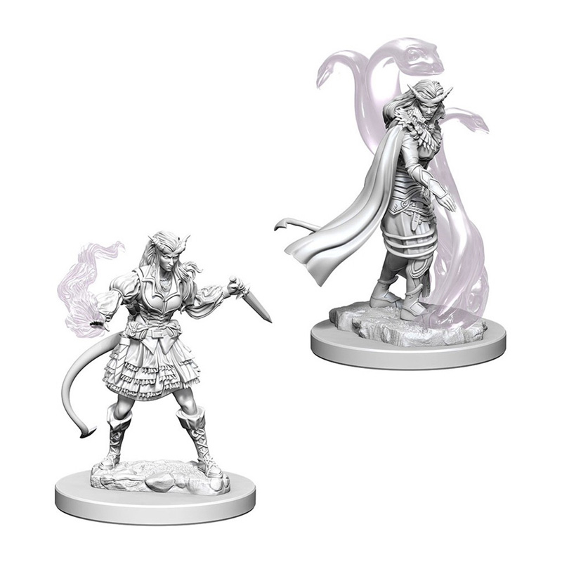 D&D NOLZUR'S TIEFLING FEMALE SORCERER