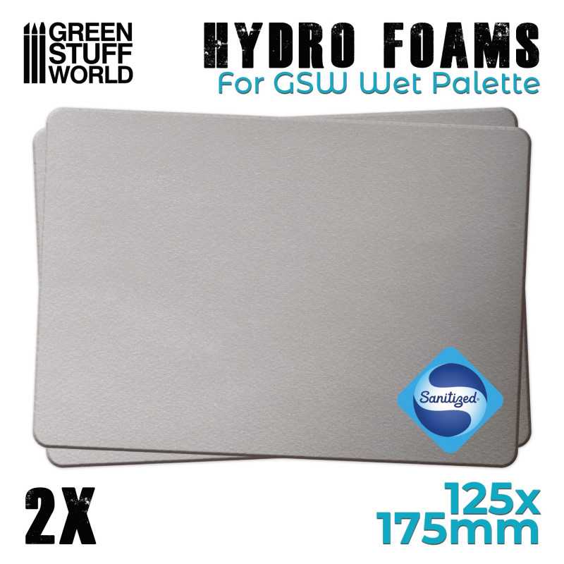 GSW: WET PALETTE HYDRO FOAM X2