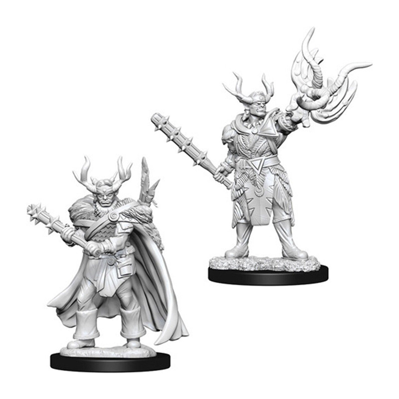 https://cartamagica.latzee.net/wp-content/uploads/2024/04/PATHFINDER-BATTLES-DEEP-CUTS-MALE-HALF-ORC-DRUID.jpg